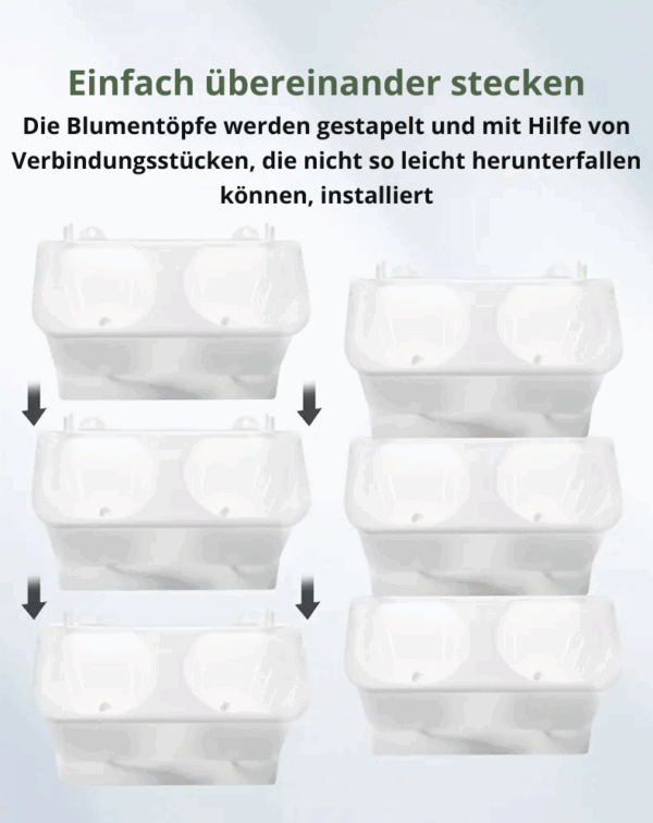 Das 1m² Vertikal-Garten-Set: Frische Wand für Dein Zuhause – Bild 11