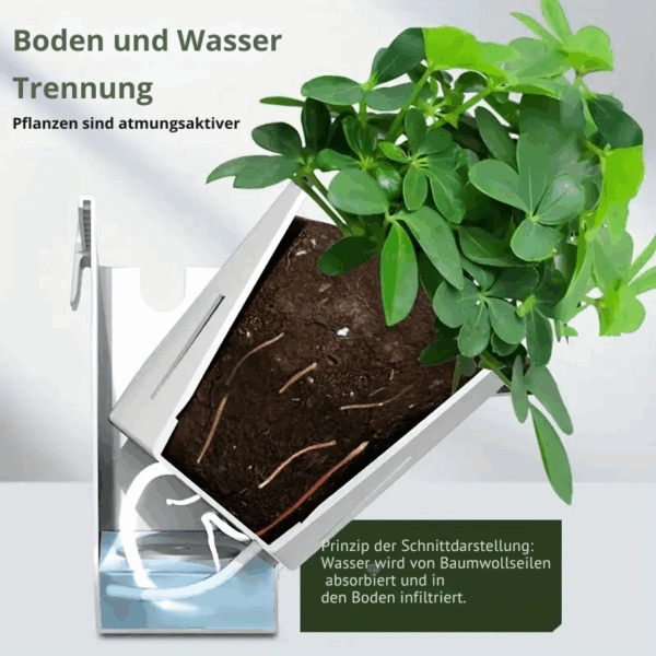 Das 1m² Vertikal-Garten-Set: Frische Wand für Dein Zuhause – Bild 17