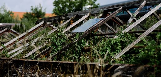 Weleda: Versuche im Konzentrationslager – die Nazi-Verbindungen der Naturkosmetikfirma