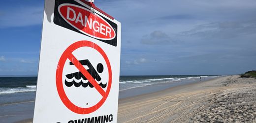 Australien: Surfer stirbt nach mutmaßlicher Hai-Attacke in Sydney