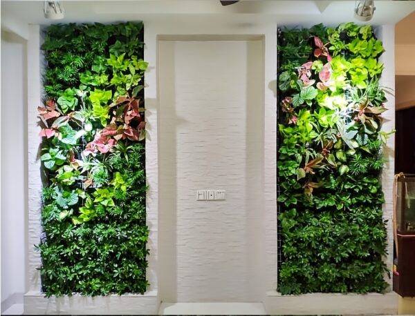 Das 1m² Vertikal-Garten-Set: Frische Wand für Dein Zuhause – Bild 6