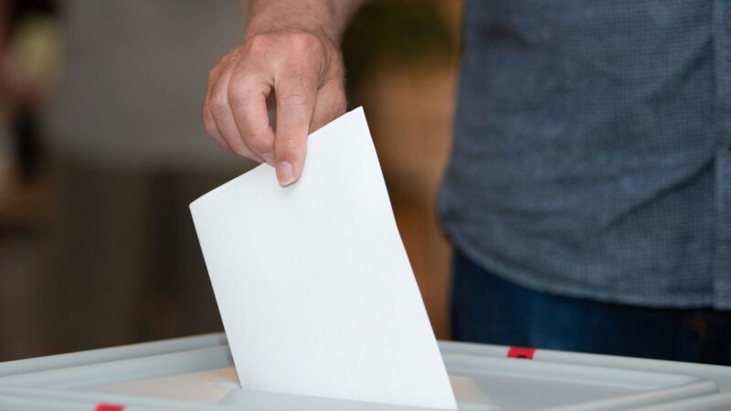 Köln-Radar: So schneiden die „Sonstigen Parteien“ bei der Wahl-Umfrage ab