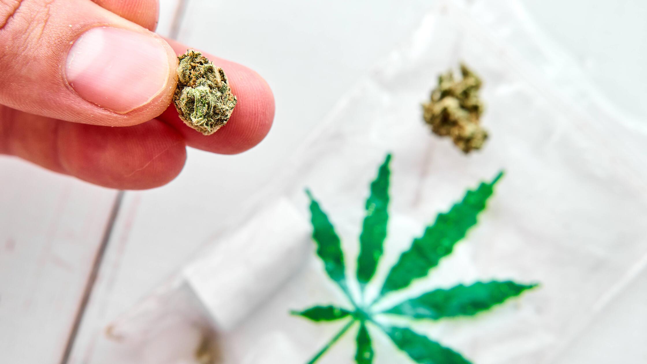 „Projekt auf Eis“: Cannabis-Club in Franken gibt auf – und erhebt schwere Vorwürfe