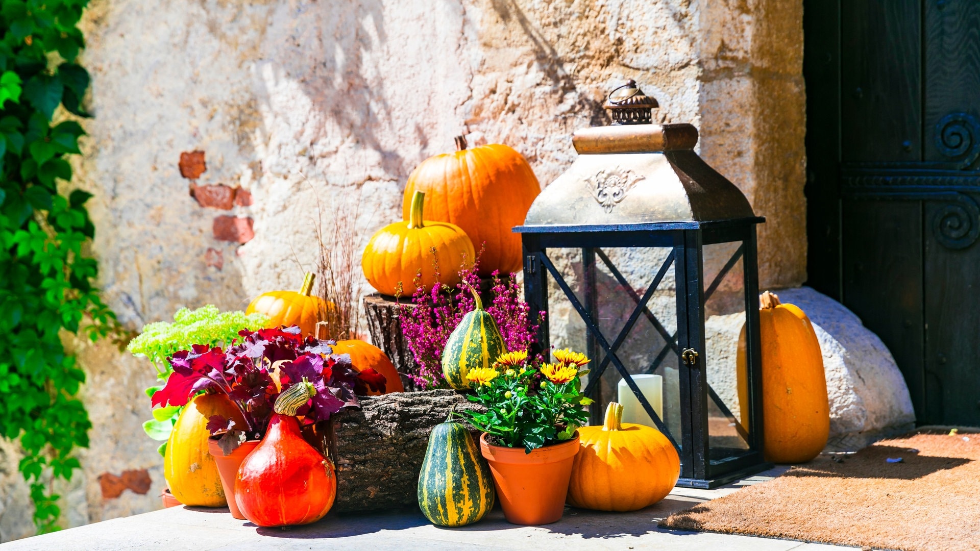 Herbstliche Dekorationen