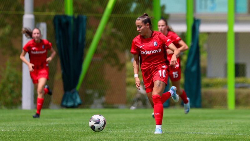 SC Freiburg im Teamcheck: Fast alles neu beim Sport-Club