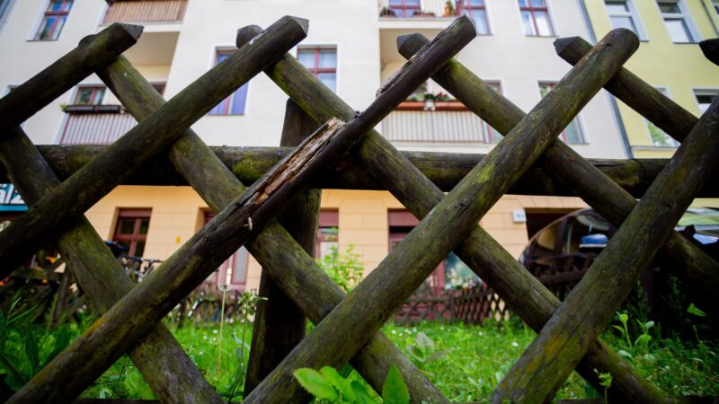 Nachbarschaftsstreit in RLP: Zwei Tote, mehr als tausend Verletzte in 2024