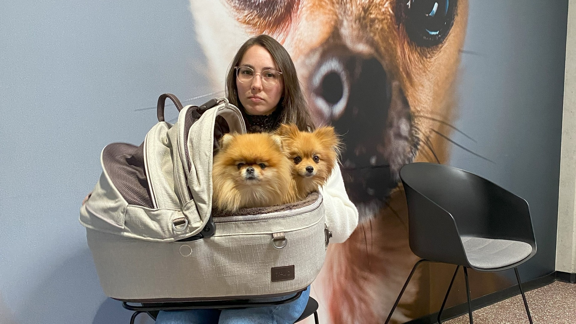 Isabels Hunde sind so krank, dass sie sogar ihren alten Job aufgeben musste