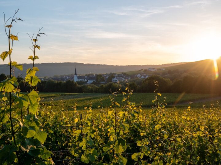 ++ Warn-App bittet um Pfalzlied ++ Telefonstörung behoben ++ Wetter: Der Spätsommer ist da ++