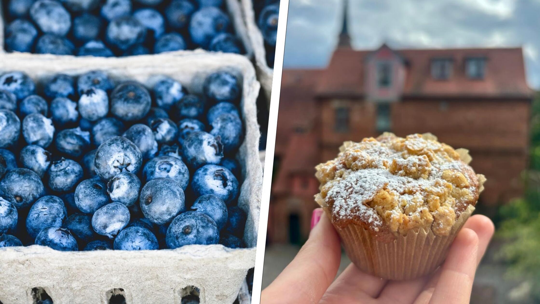 Sommer trifft auf Herbst: Einfaches Rezept für fluffige Blaubeer-Muffins mit Streuseln und Zimt