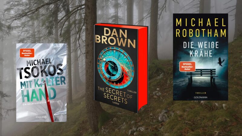 Spannung vorprogrammiert: Diese Thriller-Highlights erwarten uns im September – Neue Bücher