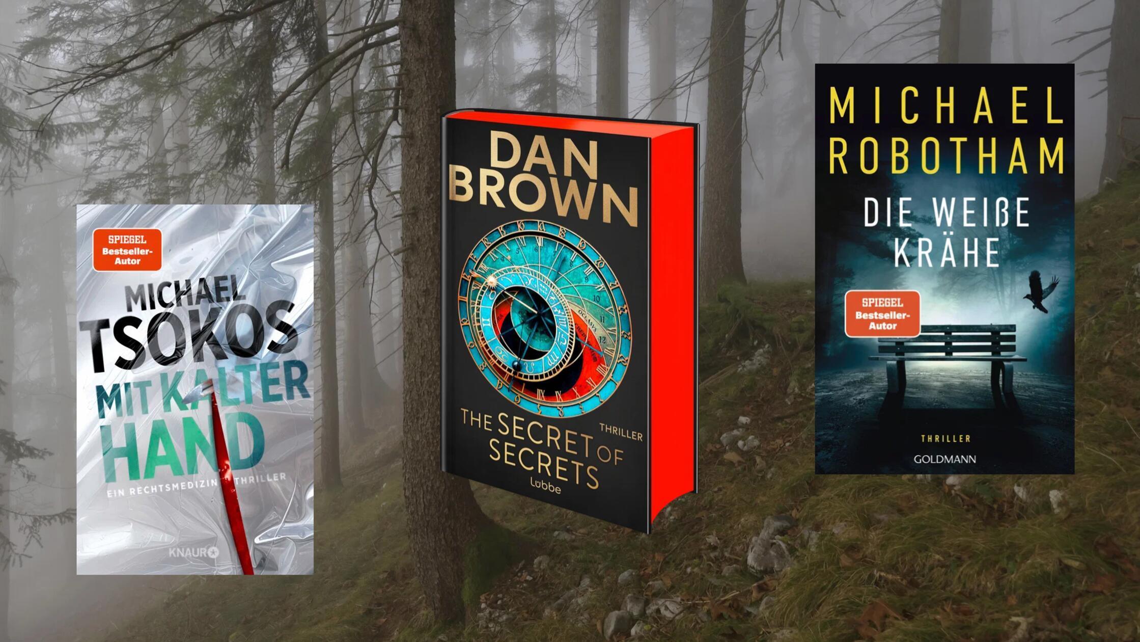 Spannung vorprogrammiert: Diese Thriller-Highlights erwarten uns im September – Neue Bücher