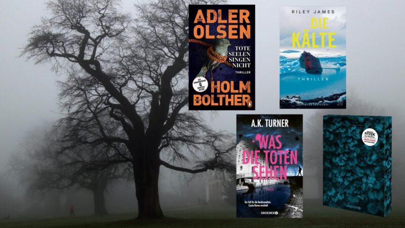 Thriller-Fans aufgepasst: Neue Thriller im Oktober – Sebastian Fitzek, Jussi Adler-Olsen und mehr