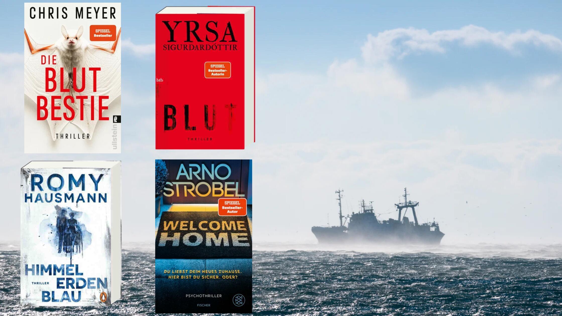 Neue Bücher auf der Bestsellerliste: Diese Thriller sind neu im Ranking