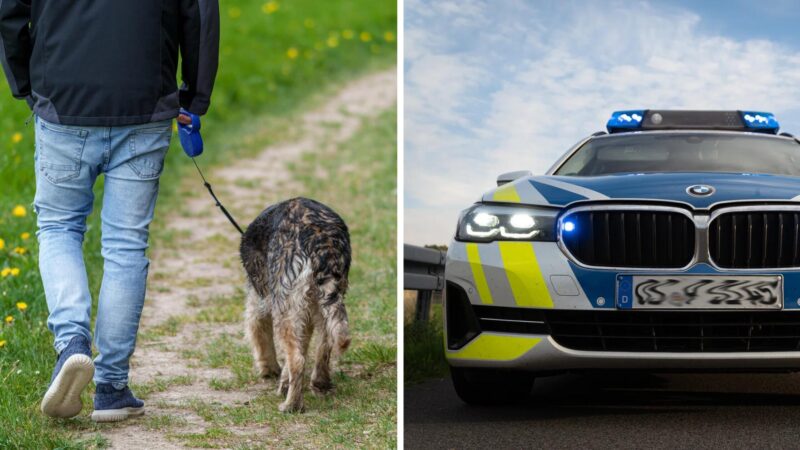 Tragischer Vorfall beim Gassigehen in Franken: Mann von Radlader erfasst und getötet