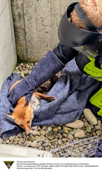 FW-M: Verletzter Fuchs gerettet (Obersendling)