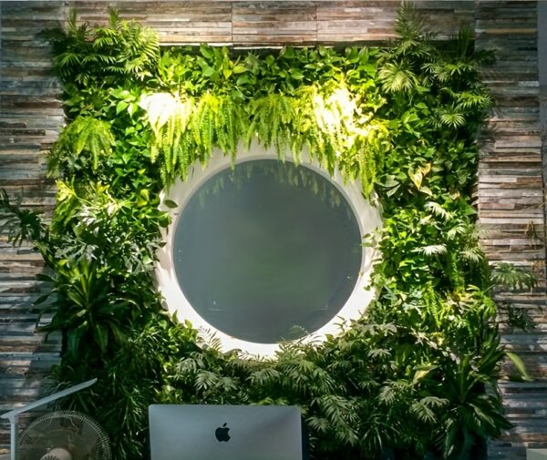 Das 1m² Vertikal-Garten-Set: Frische Wand für Dein Zuhause – Bild 7