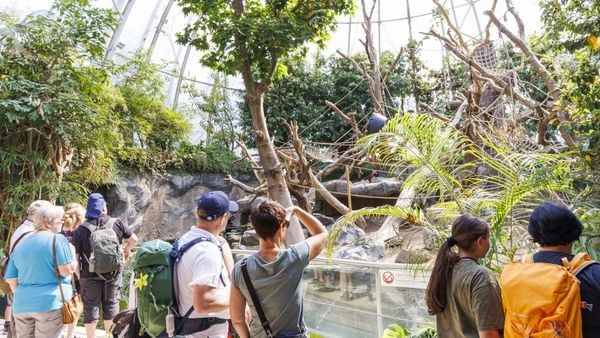 Kinder-Eintrittspreise für Zoo und Museum: So schneidet Hamburg ab