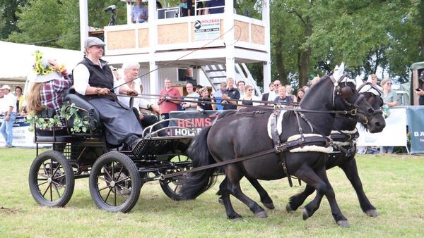 7500 Zuschauer begeistert – die schönsten Bilder vom Stover Rennen