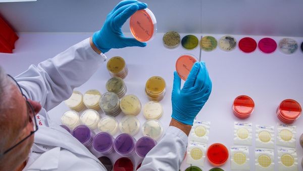Ehec in Hamburg: Zahl der Fälle steigt, auch in Krankenhäusern
