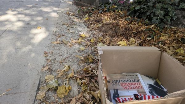 „Zu verschenken“-Kisten nerven Anwohner: „Entsorgt den Müll selbst“