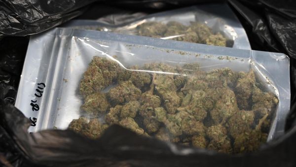 100 Gramm Drogen im Po: Handlanger schmuggelt Cannabis ins Gefängnis