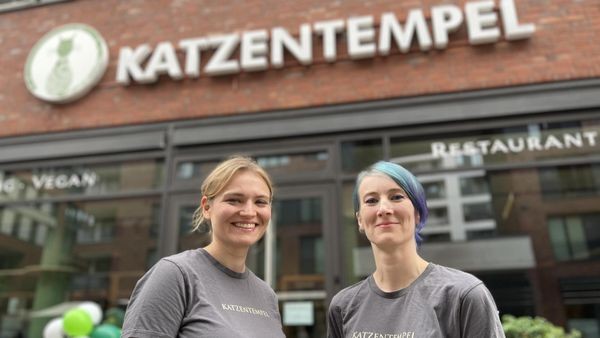 Katzencafé wagt Neustart in der HafenCity – mit veränderten Regeln