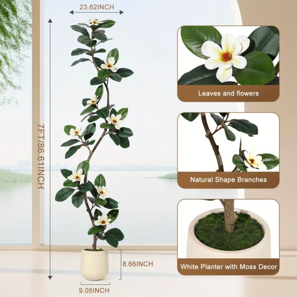 Künstlicher Magnolien-Baum (213 cm) – mit 8 weißen Blüten, im Topf – Bild 4