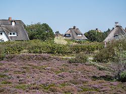 Verlässliche Zahlen fehlen: Behörde sucht illegale Ferienwohnungen auf Sylt