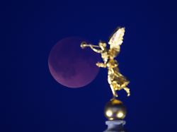 Totale Mondfinsternis: Spektakel am Himmel über Deutschland sorgt für Begeisterung
