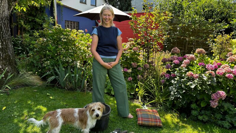 Schottergärten sind tote Lebensräume: Kölner Gartengestalterin lädt in ihren Garten ein