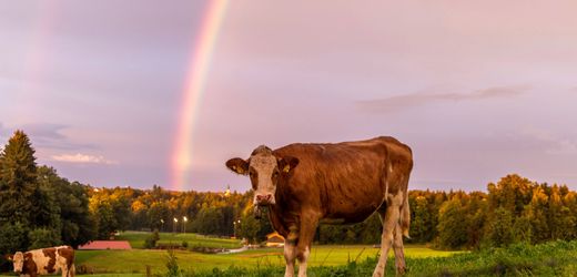 Wetter-Aussichten: Nochmal Hochsommer statt Herbst – so wird das Wochenende
