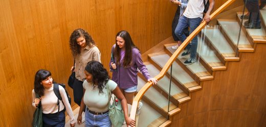 Fachkräftemangel: Jeder zweite internationale Studierende will langfristig bleiben