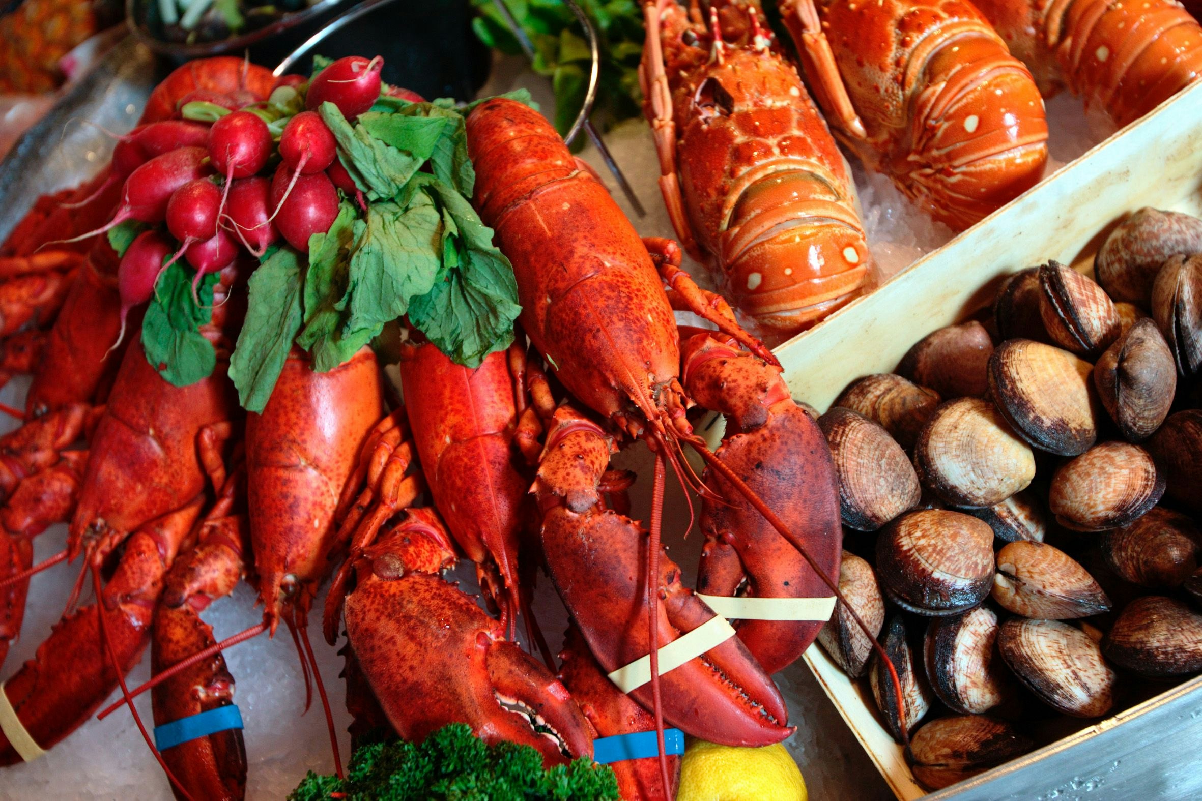 TikTok Food Spot: Kölner Fischrestaurant will Weltrekord im Seafood Boil knacken