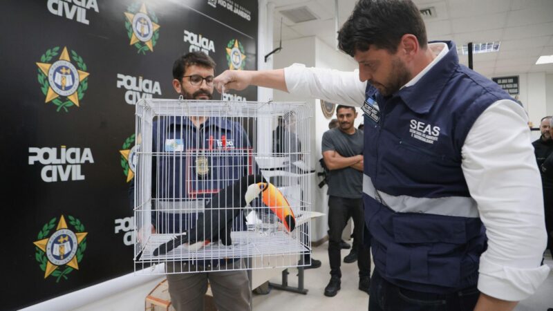 Illegaler Wildtierhandel in Rio: Polizei befreit Exoten