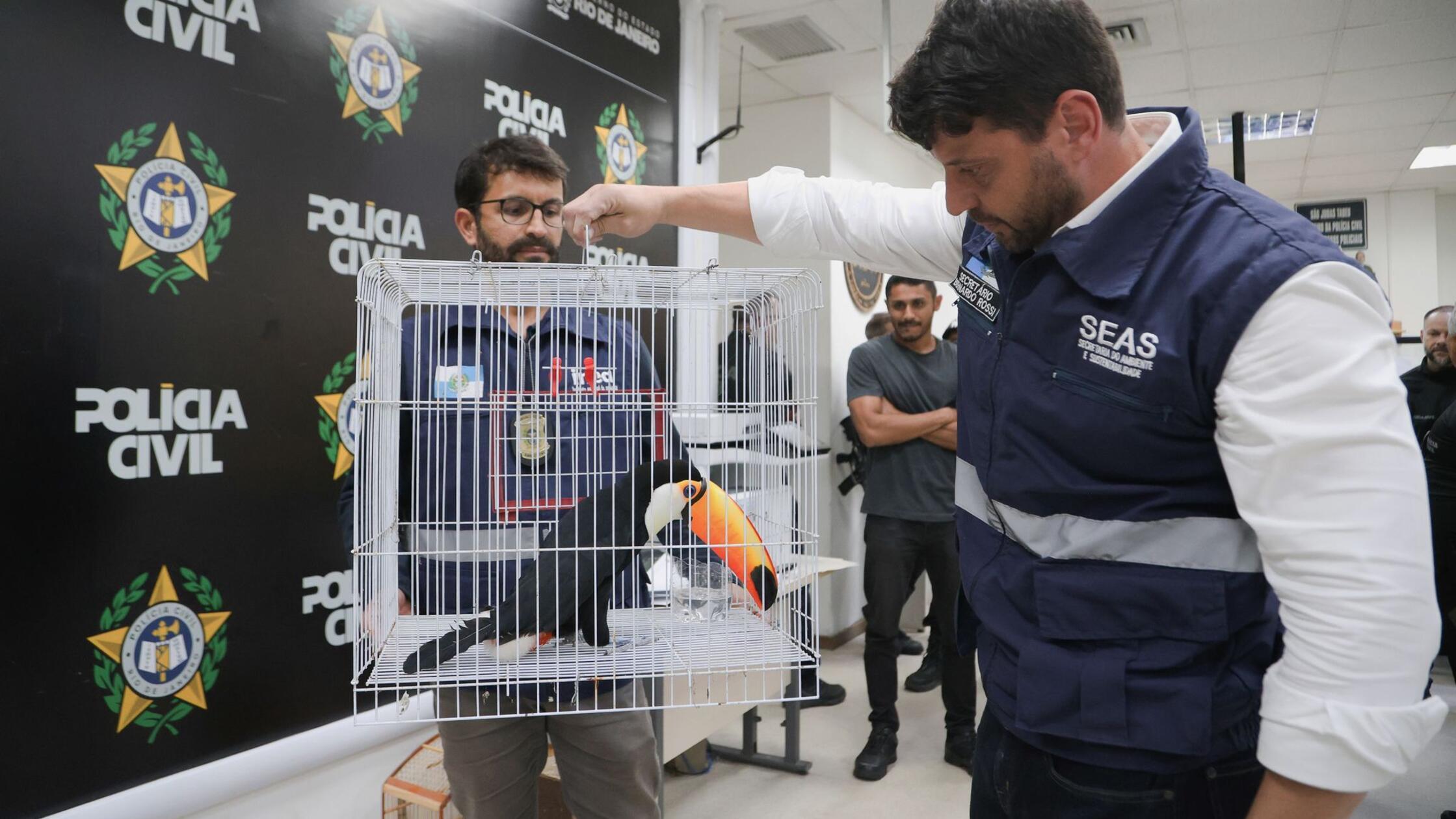 Illegaler Wildtierhandel in Rio: Polizei befreit Exoten