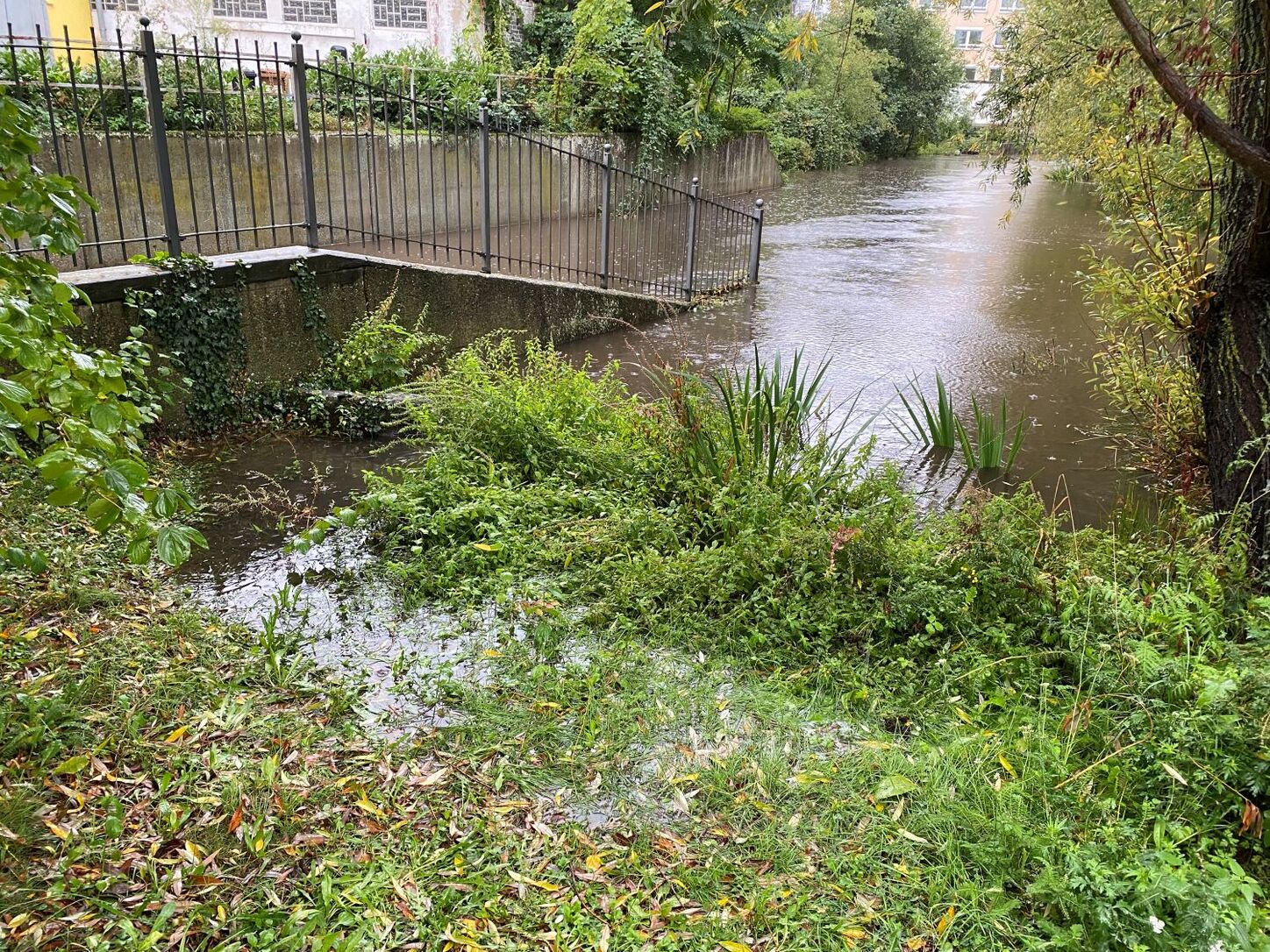 Neustadt: Bilanz nach Dauerregen – Hochwasser-Schutz wirkt