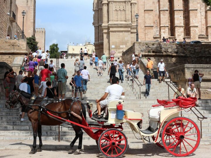 Kutschpferd kollabiert auf Mallorca – Urlauber weigern sich auszusteigen