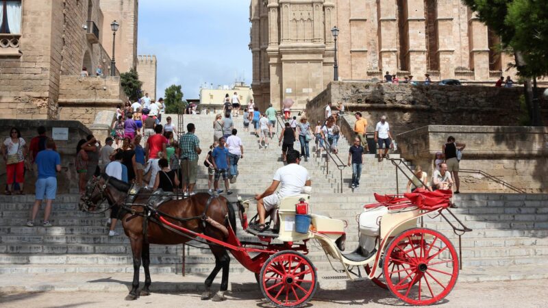 Kutschpferd kollabiert auf Mallorca – Urlauber weigern sich auszusteigen