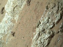 Sensationsfund in Flusstal: Gab es Leben auf dem Mars?