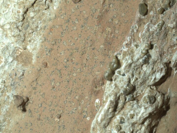 Nasa: Mars-Stein könnte Zeichen von früherem Leben zeigen