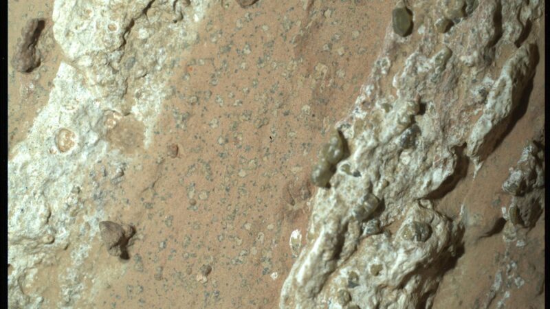 Nasa: Mars-Stein könnte Zeichen von früherem Leben zeigen