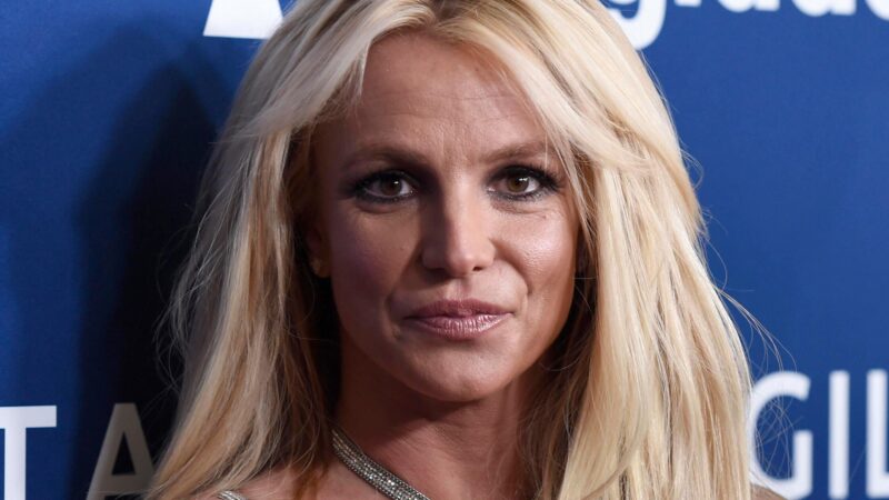 Große Sorge um Britney Spears: Sie soll in Chaos und Hundehaufen leben – Sängerin kommentiert das