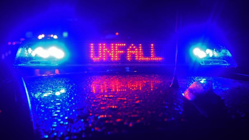 Pferde von Auto erfasst und getötet