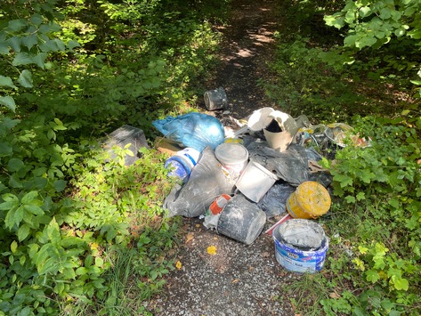 LPI-NDH: Ablagerung im Wald