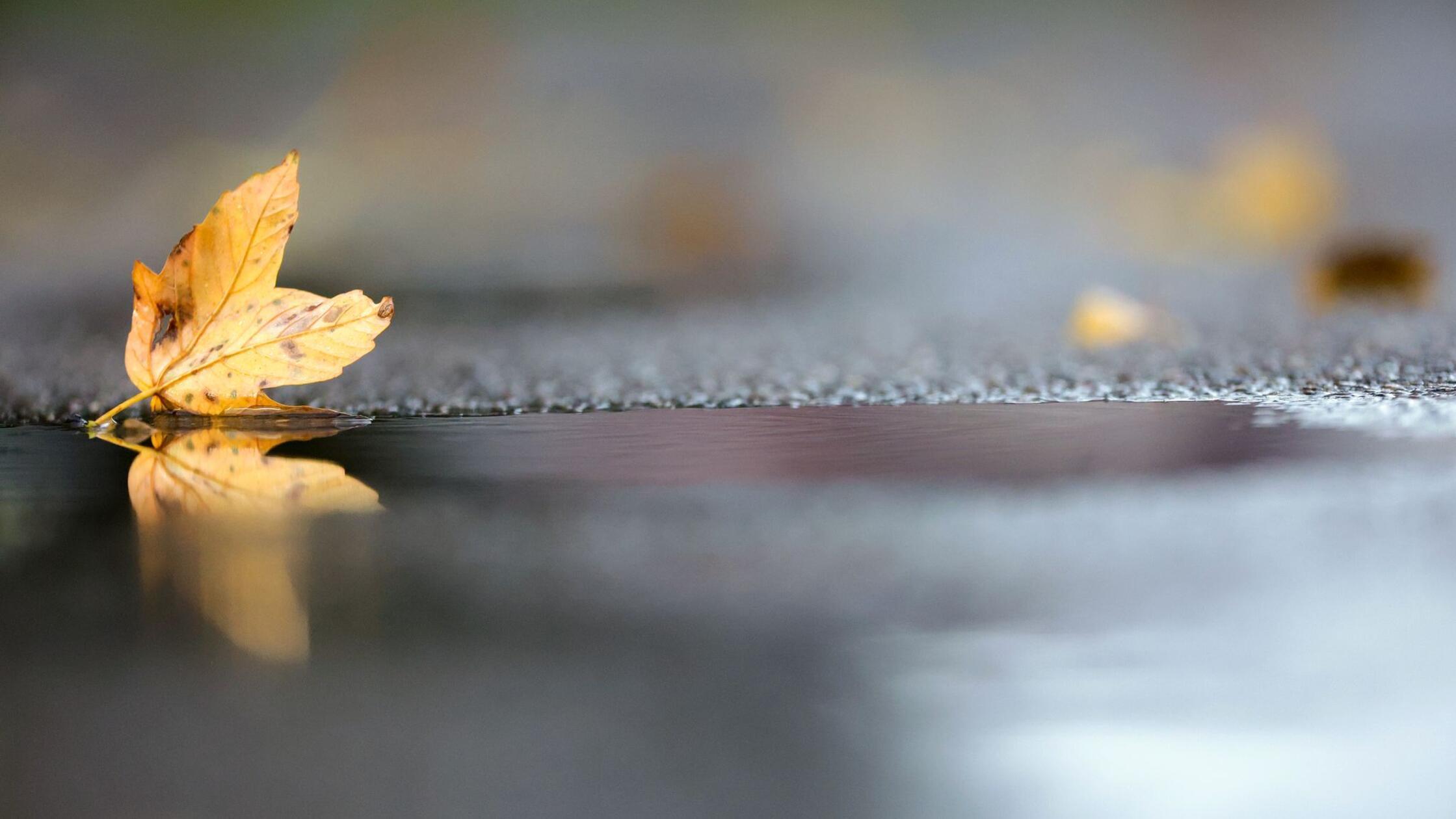 Regen klingt ab: Sonniger Norden und grauer Süden