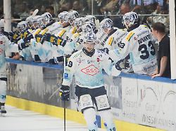 DEG ist weg – na und?: Dresden flitzt mit großem Getöse in die Deutsche Eishockey Liga
