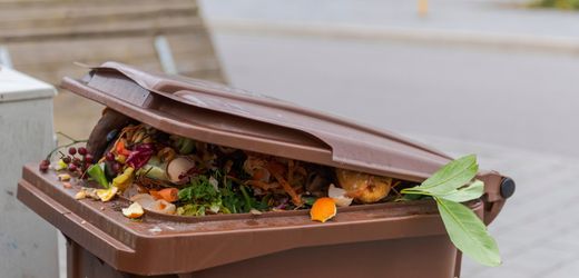 Biomüll: Warum ab Montag Biotonnen kontrolliert werden