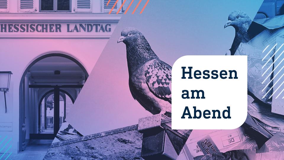 Hessen am Abend: Vorsicht vor Saatgut aus China und Happy End für Tauben in Limburg