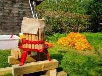 Naturparkzentrum lädt zum Mitmachen ein: Frischer Saft und altes Wissen beim Apfeltag in Wachtendonk