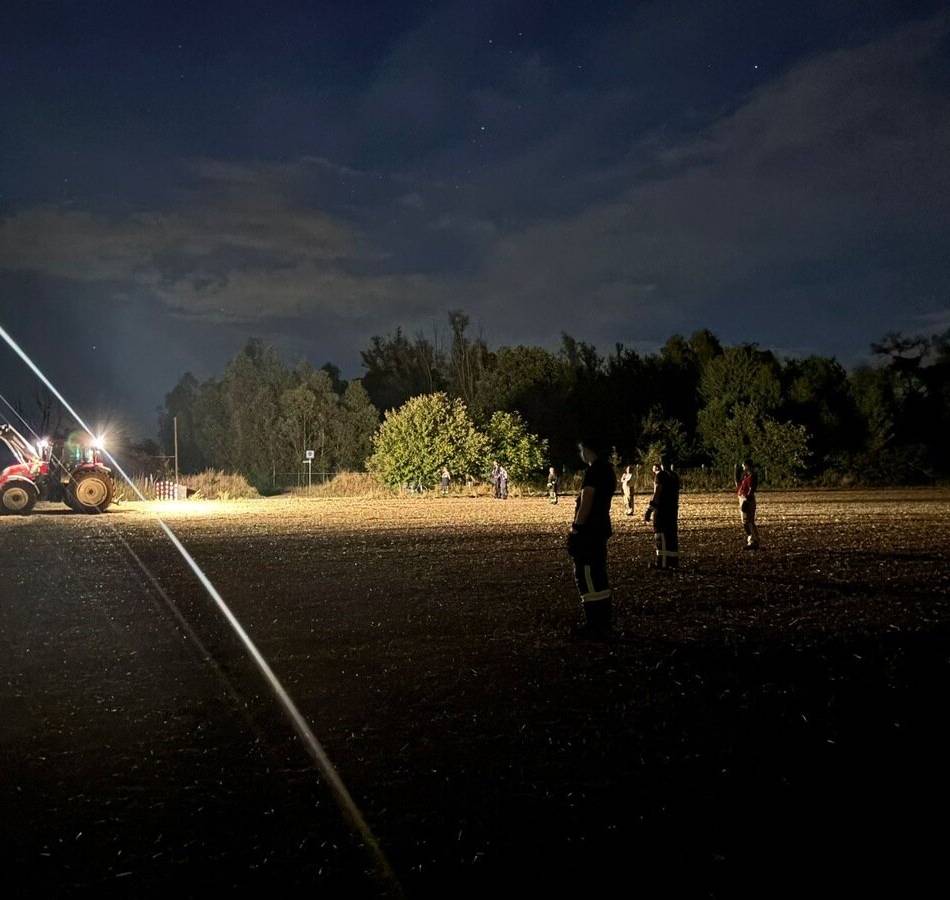 Ungewöhnliche Tierrettung: Feuerwehr Kalkar fängt 18 entlaufene Kühe ein